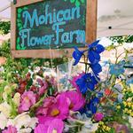 Mount Vernon Farmers Market