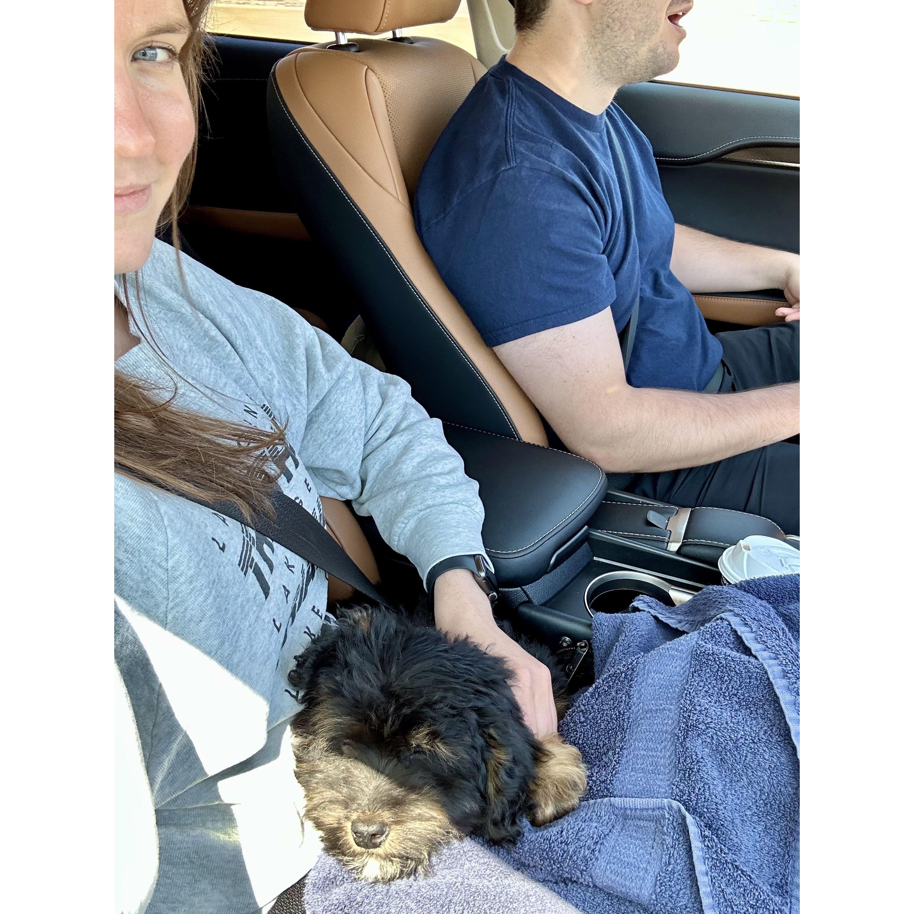 Bringing home our boy