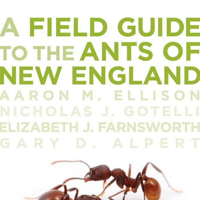 A Field Guide to the Ants of New England