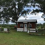 Rooney's Front Porch Farm