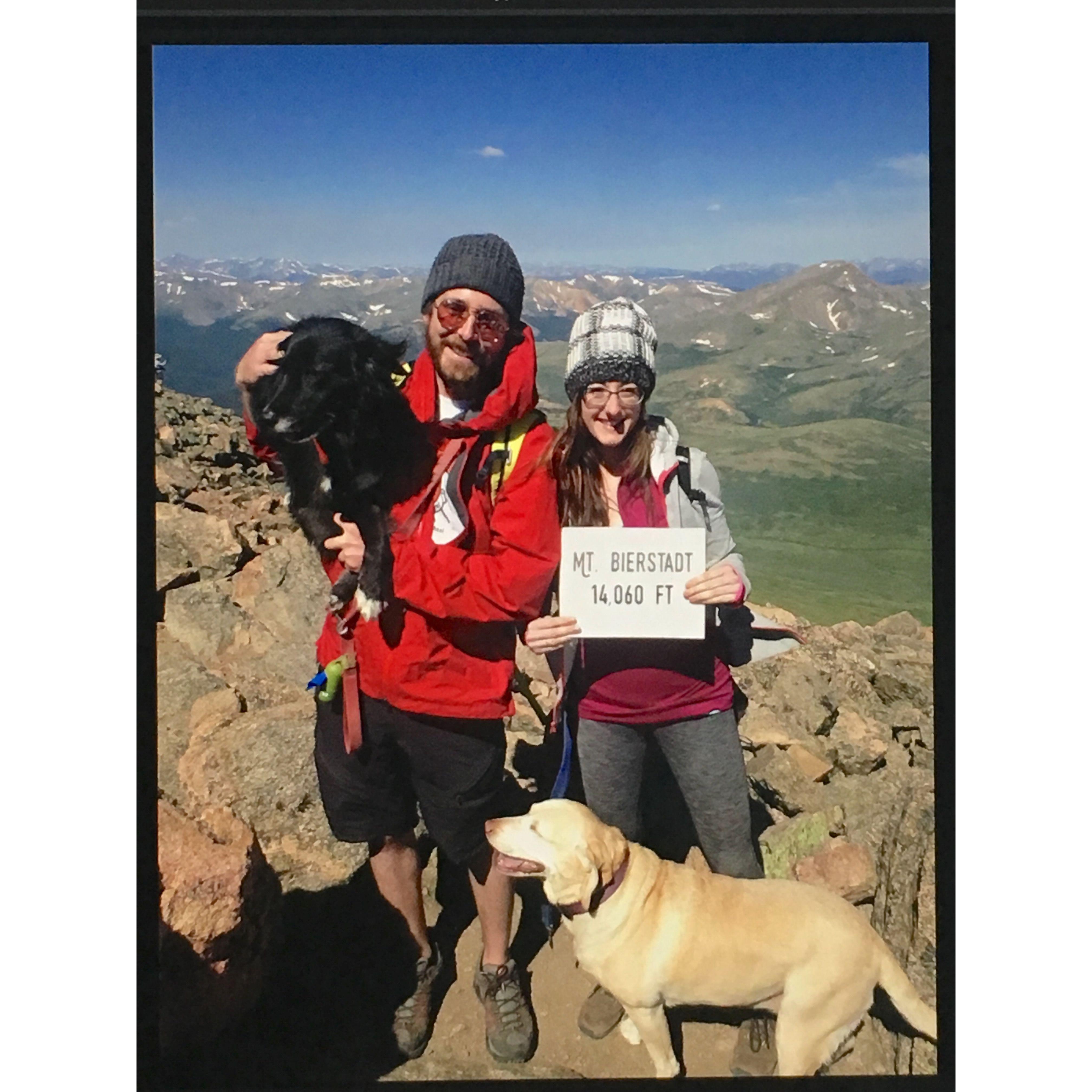 Us with Georgia and Margo on a 14er!