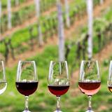 Wine Tasting