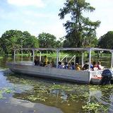 McGee's Louisiana Swamp & Airboat Tours