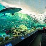 Ripley's Aquarium of Canada