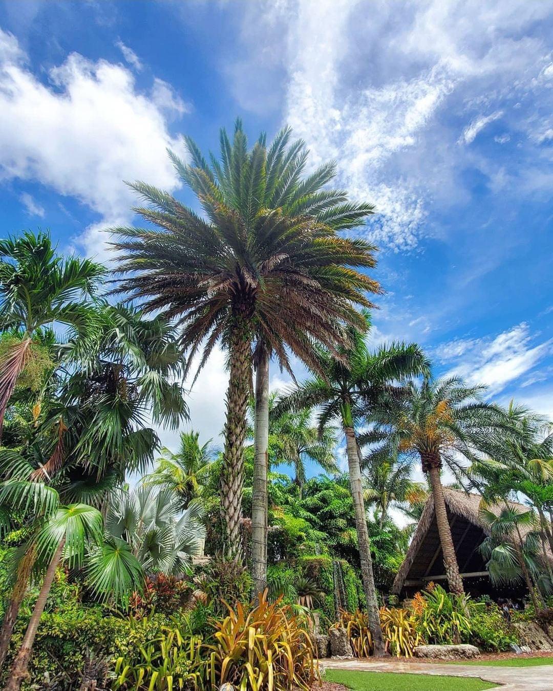 The Wedding Website of Brandy Norton and Justin Parks