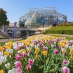 Phipps Conservatory and Botanical Gardens