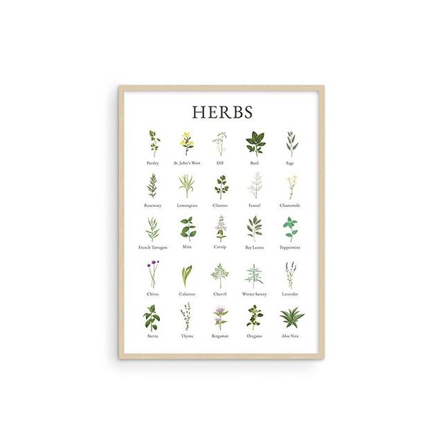 Herb Pictures for Kitchen Wall Art - by Haus and Hues | Kitchen Herbs Wall Art and Botanical Prints Herbs Art | Kitchen Wall Art Herbs and Kitchen Art | Cottage Core Decor (12" x 16 ", UNFRAMED)