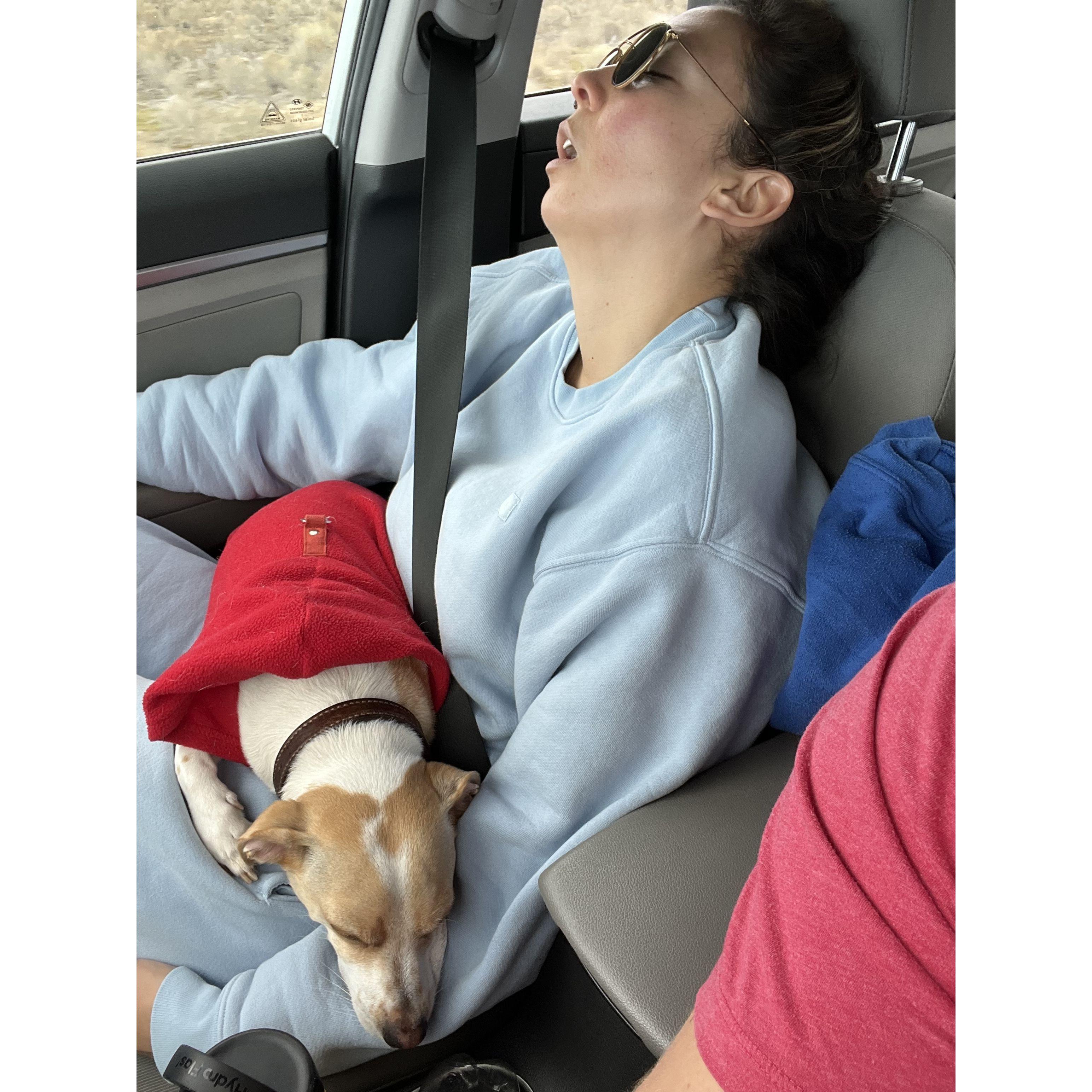 Another beautiful portrait of Sarah and Bubba enjoying a nap. These usually happen while Anders drives