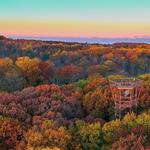 The Holden Arboretum