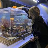 California Science Center