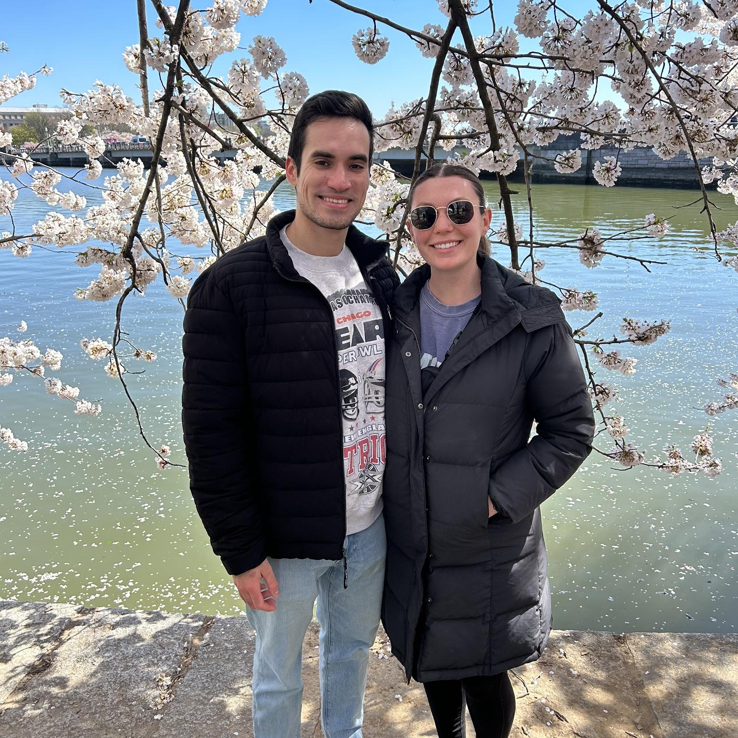 March 2024 • DC cherry blossoms