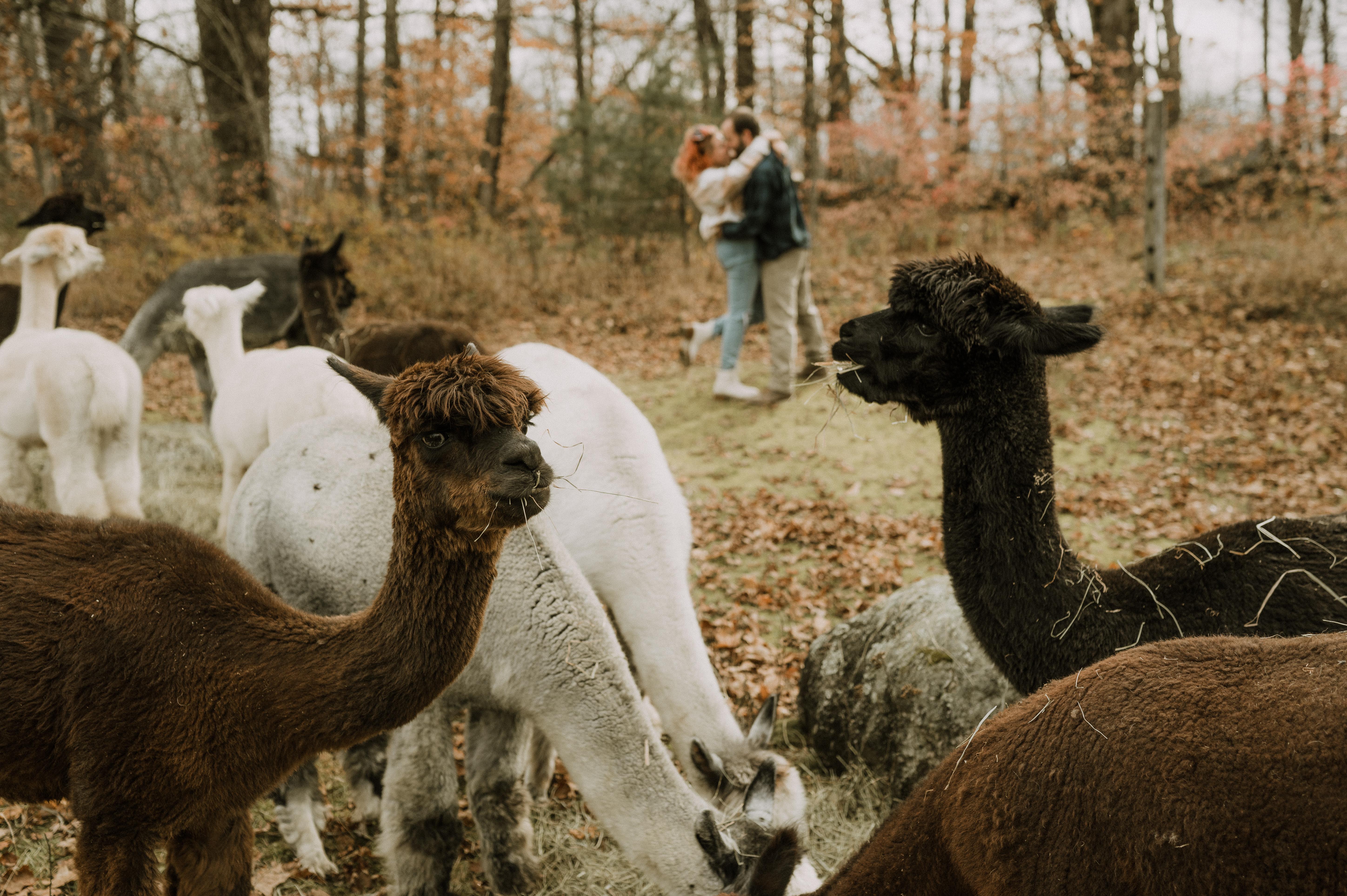 The Wedding Website of Melanie Tata and Ryan Hooker