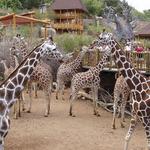 Cheyenne Mountain Zoo