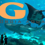 Georgia Aquarium