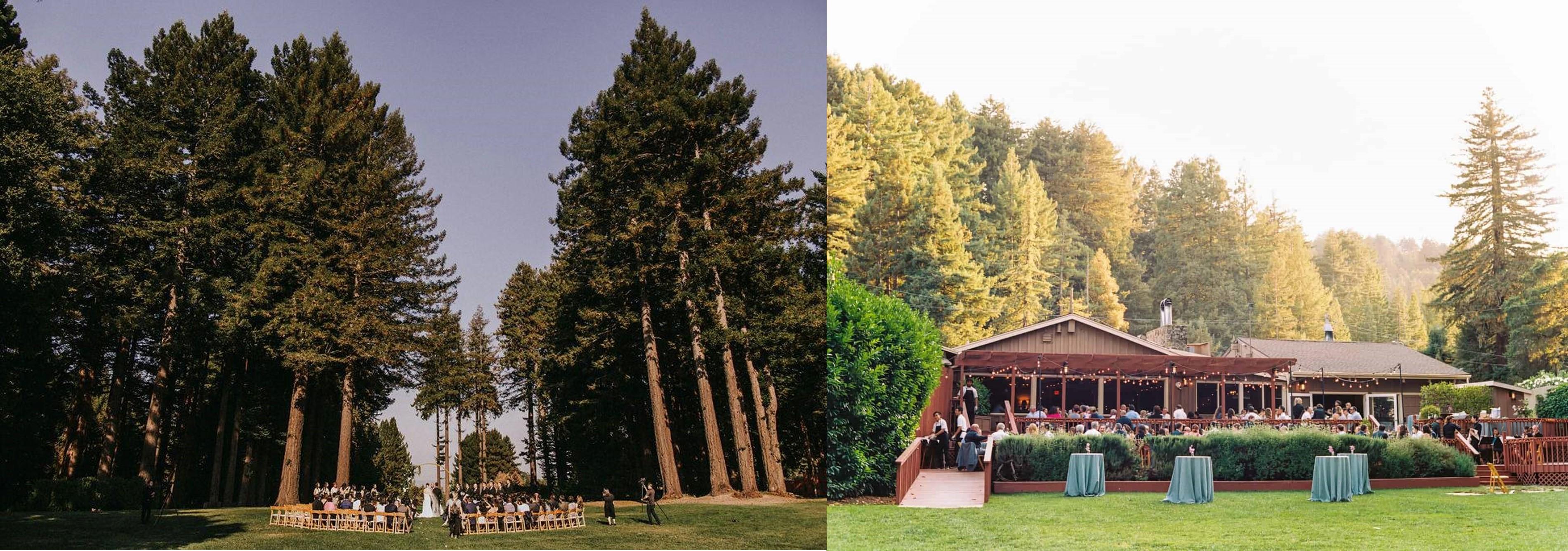 The Wedding Website of Sophie Campione and McLane Brown