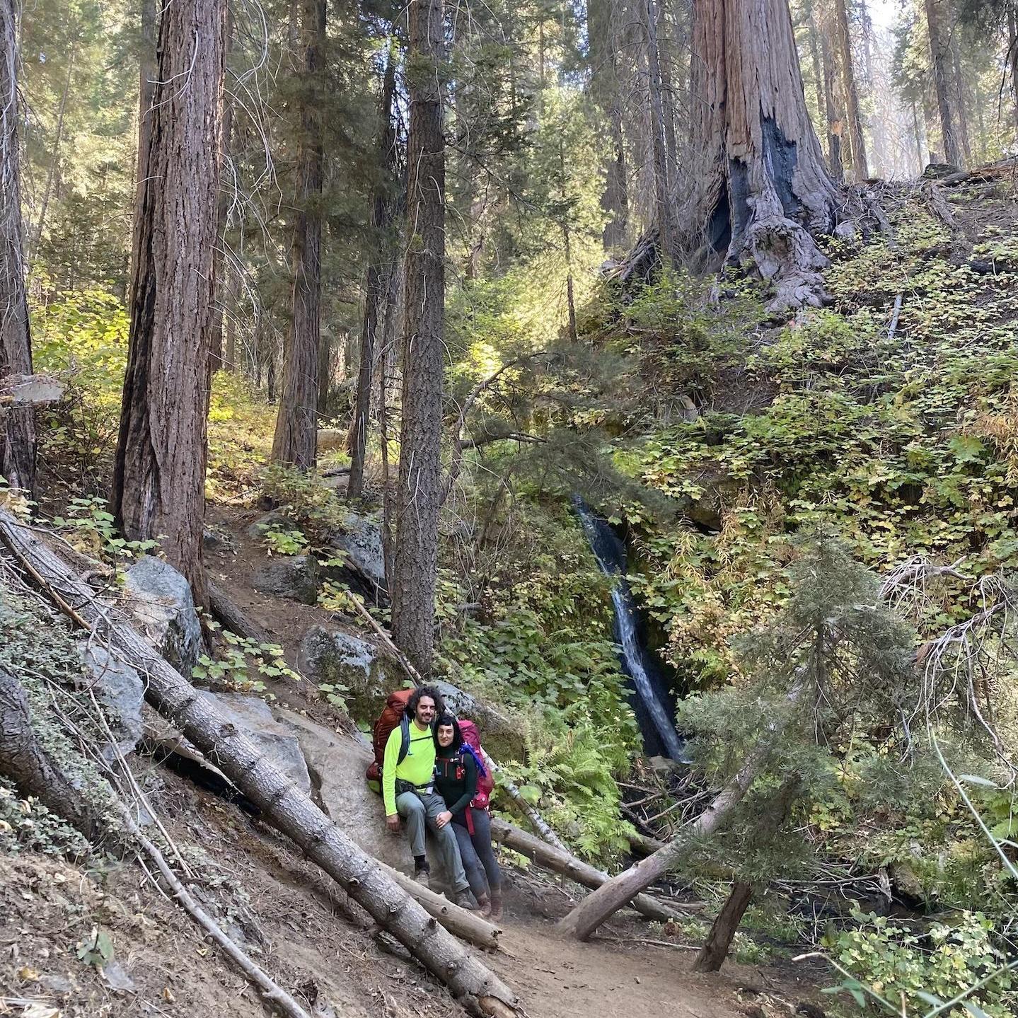 Backpacking Sequoia National Park