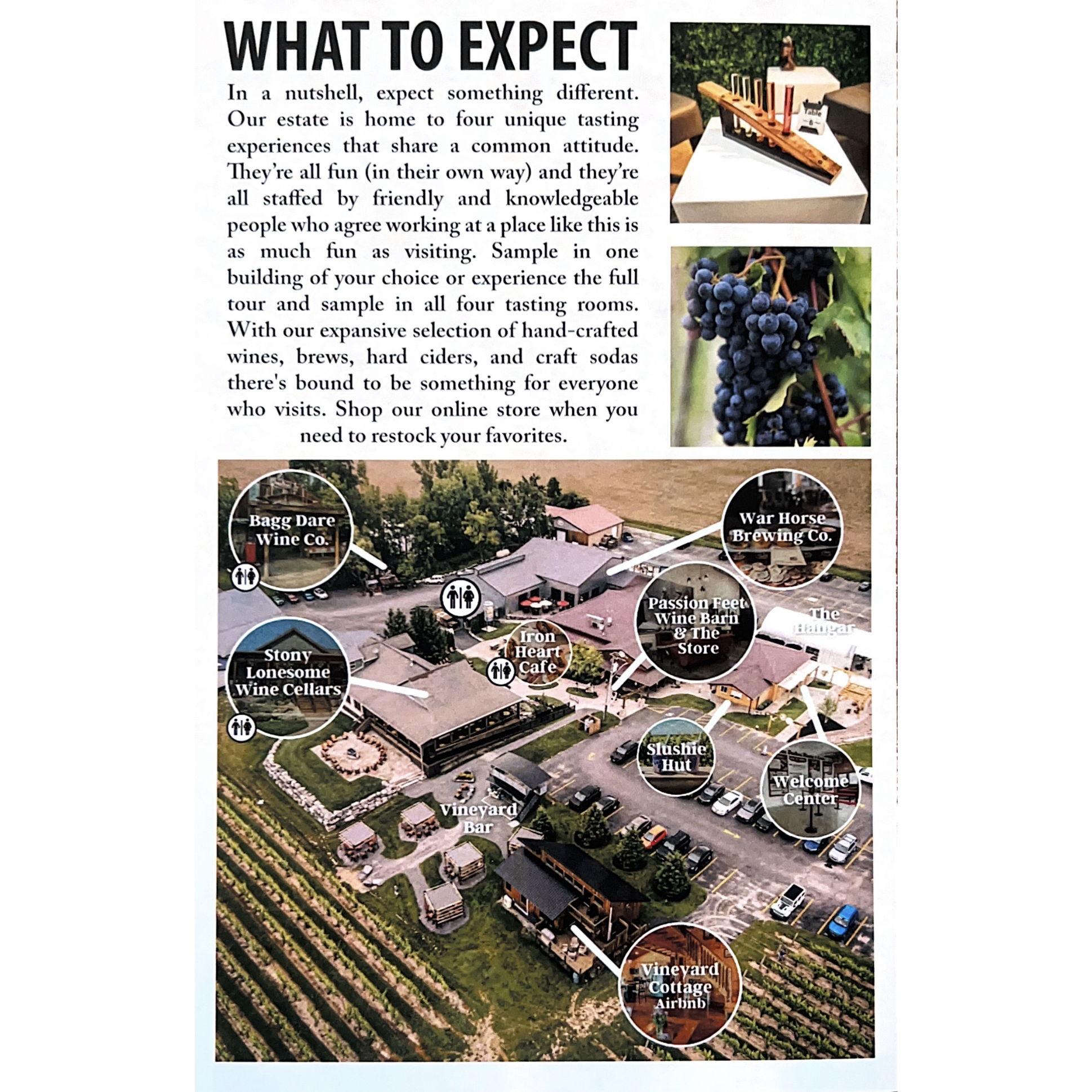 Three Brothers Wineries and Estates.... IT IS AN AMUSEMENT PARK FOR DRINKING.  DRIVE IS FAR, BUT IT IS A ONE STOP SHOP!