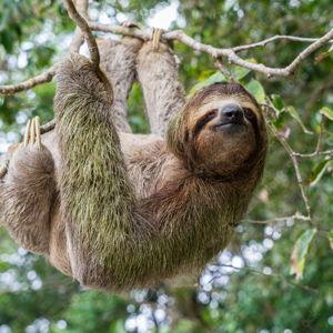 Honeymoon in Costa Rica