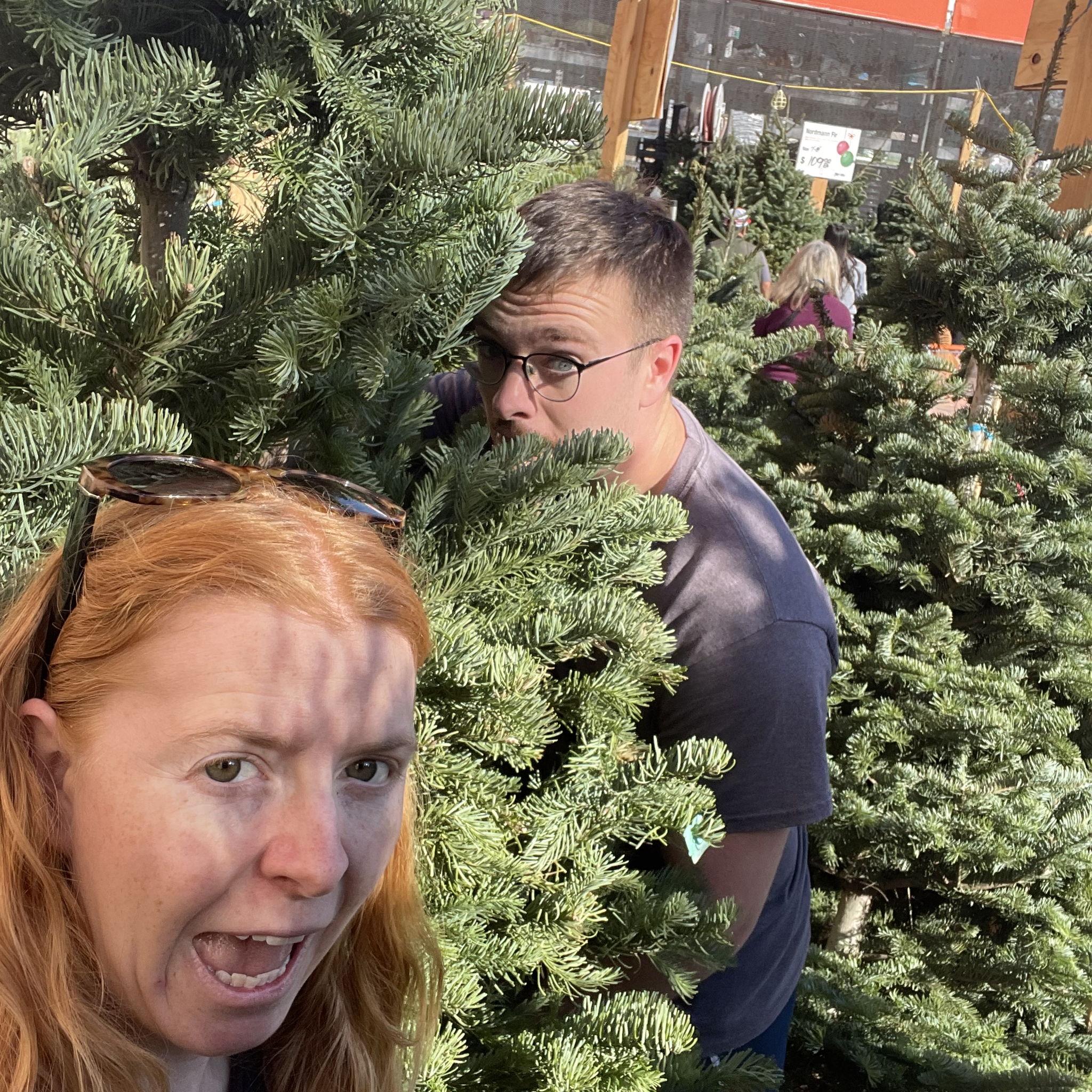 Dec 2025- Finding the perfect Tree