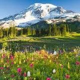 Mount Rainier National Park