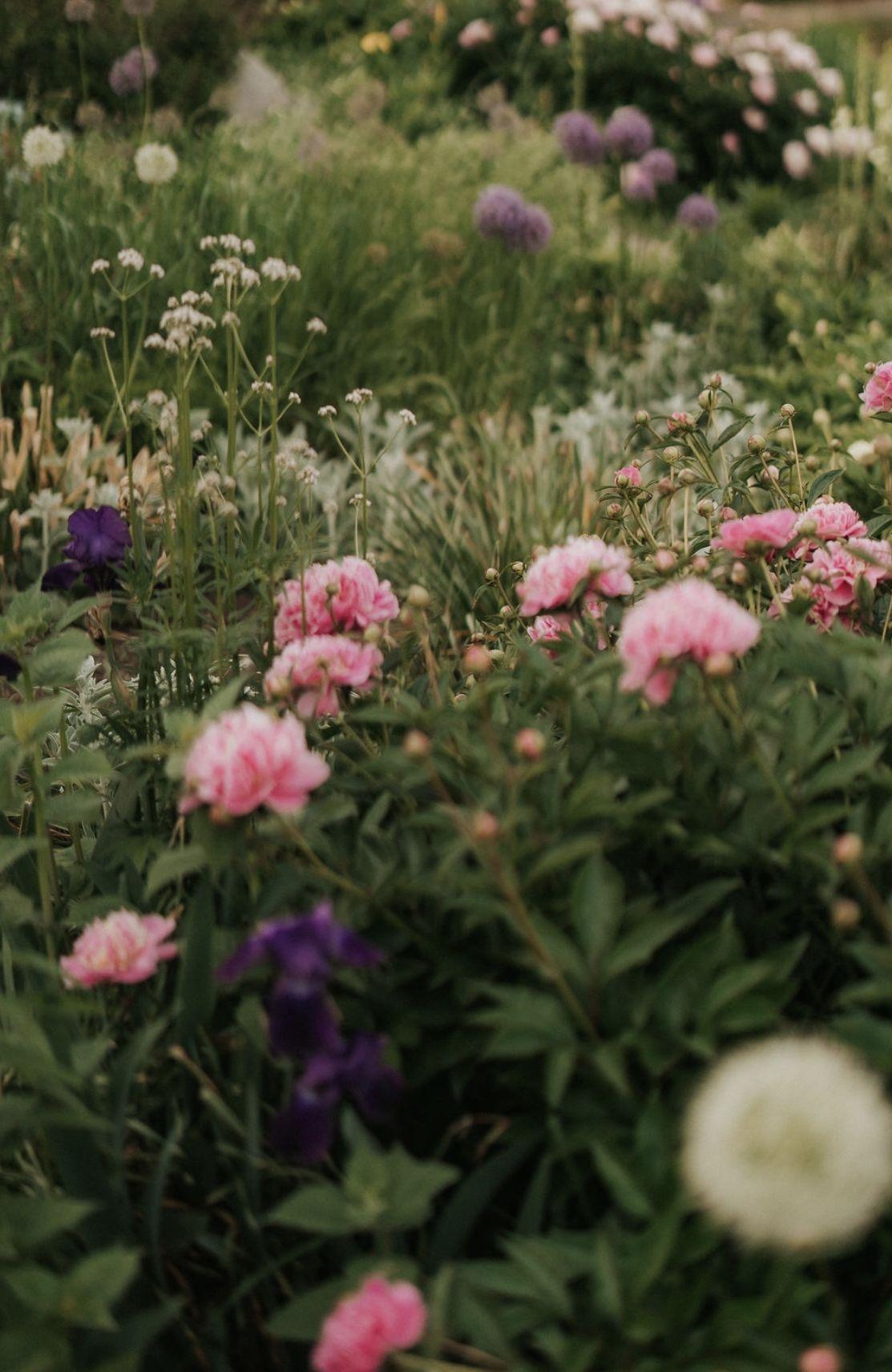 The Wedding Website of Hannah Dutton and John Arndts IV