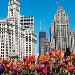 The Magnificent Mile