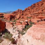 Redrock Canyon