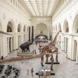Field Museum