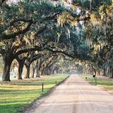Boone Hall Plantation
