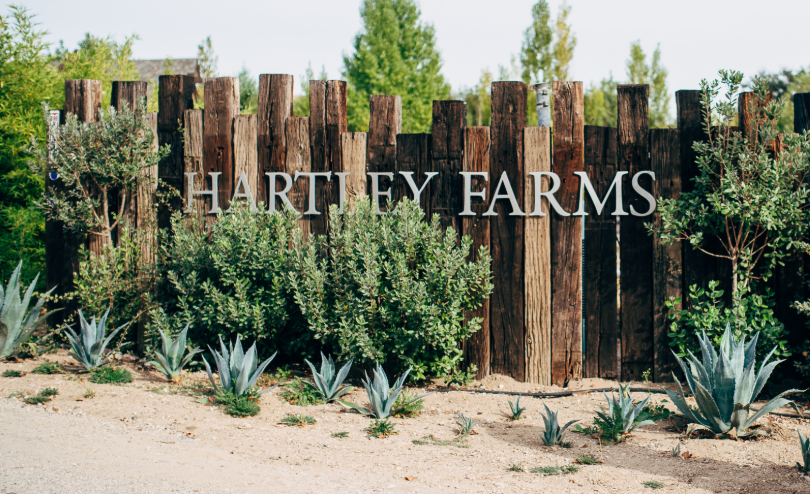 The Wedding Website of Brittney Baker and Duncan Williams