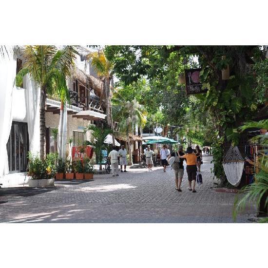 5th Avenue "Quinta Avenida" is a famous street in Playa home to restaurants, bars, boutiques, art galleries, events, local shops, and coffee shops. A beautiful avenue to stroll and explore.