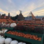 Great Pumpkin Farm