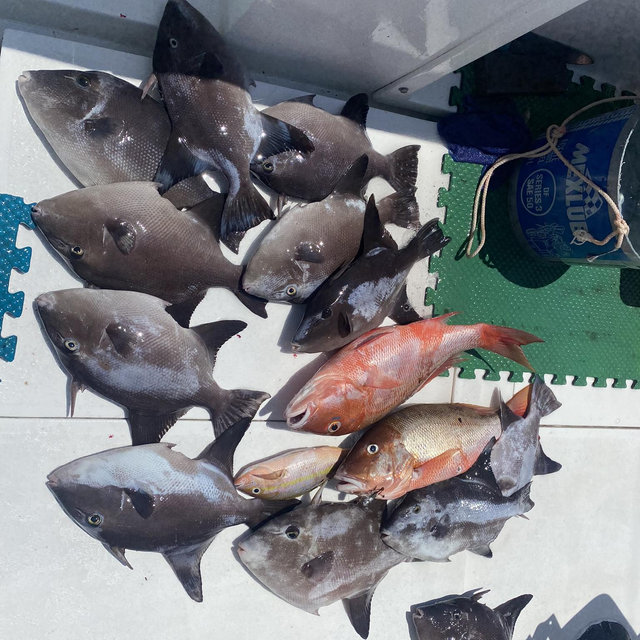 Contribute to a Fishing Trip on Our Honeymoon🎣