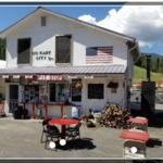 The Pit Stop & Go Kart City