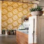 Scout Coffee Co.