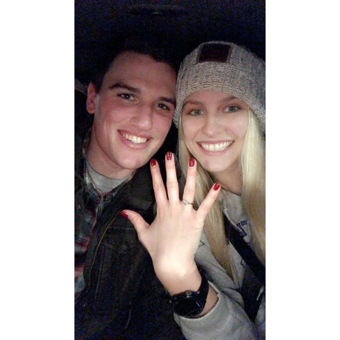 Engagement - North Park!