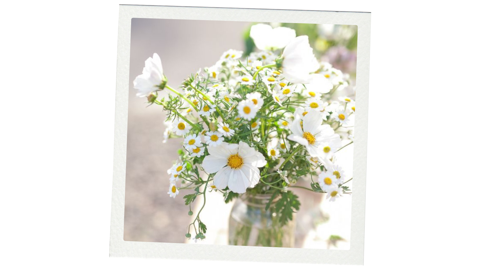 The Wedding Website of Lauren Kucic and Kaleb Klosky