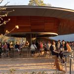 The Bark Bar