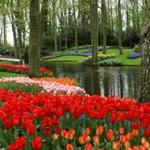 Memphis Botanic Garden