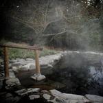 Breitenbush (Hot Spring)