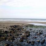 Downhill Beach