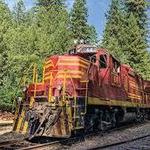 The Skunk Train & Rail Bikes