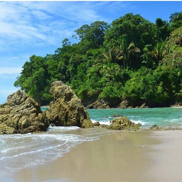 One of the many beautiful beaches in Manuel Antonio!