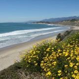 Rincon Beach