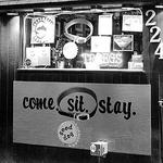 Good Dog Bar