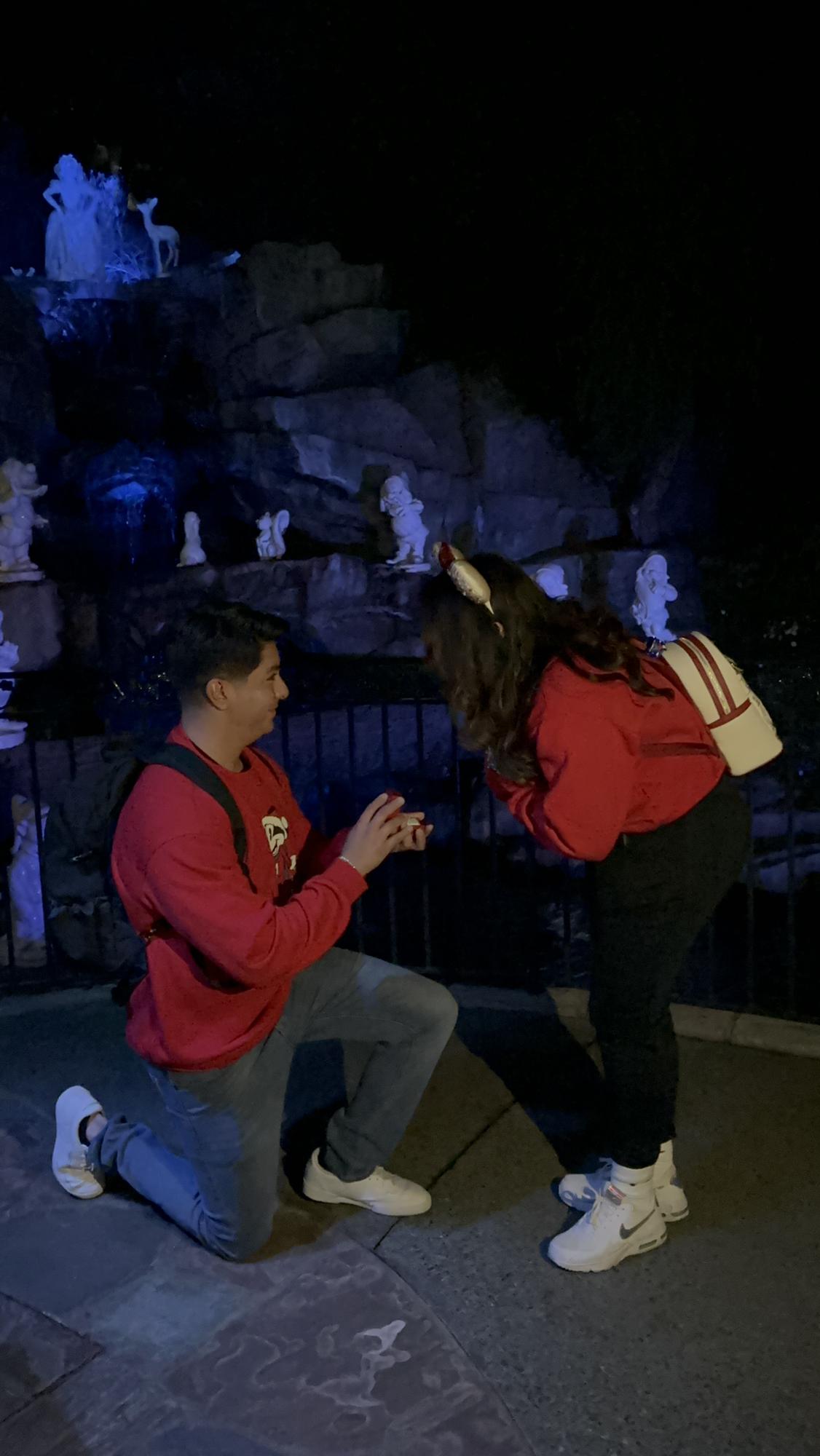 Best Moment of 2022
Being proposed to at the Happiest Place on Earth.