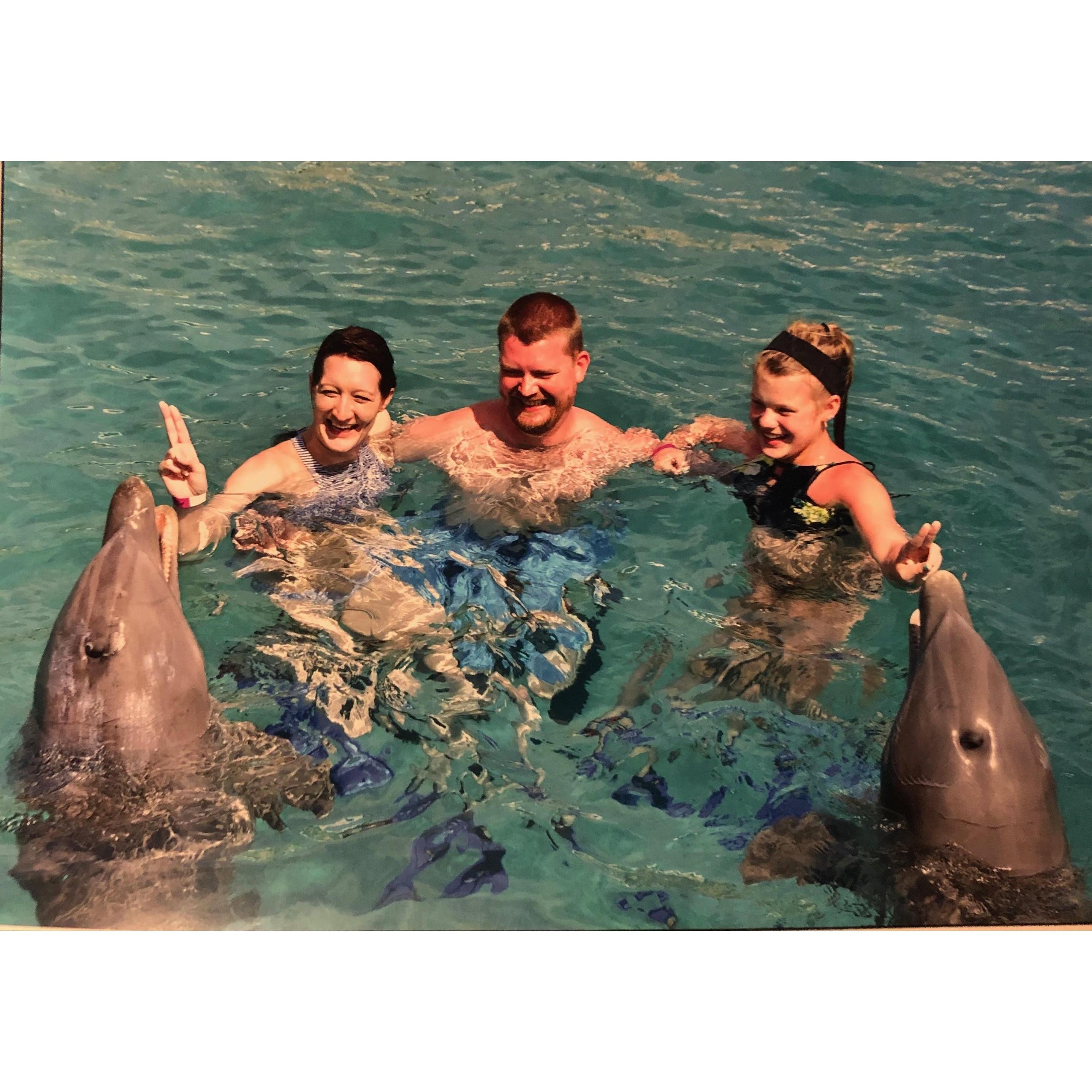 2019 - Curacao swimming with the dolphins