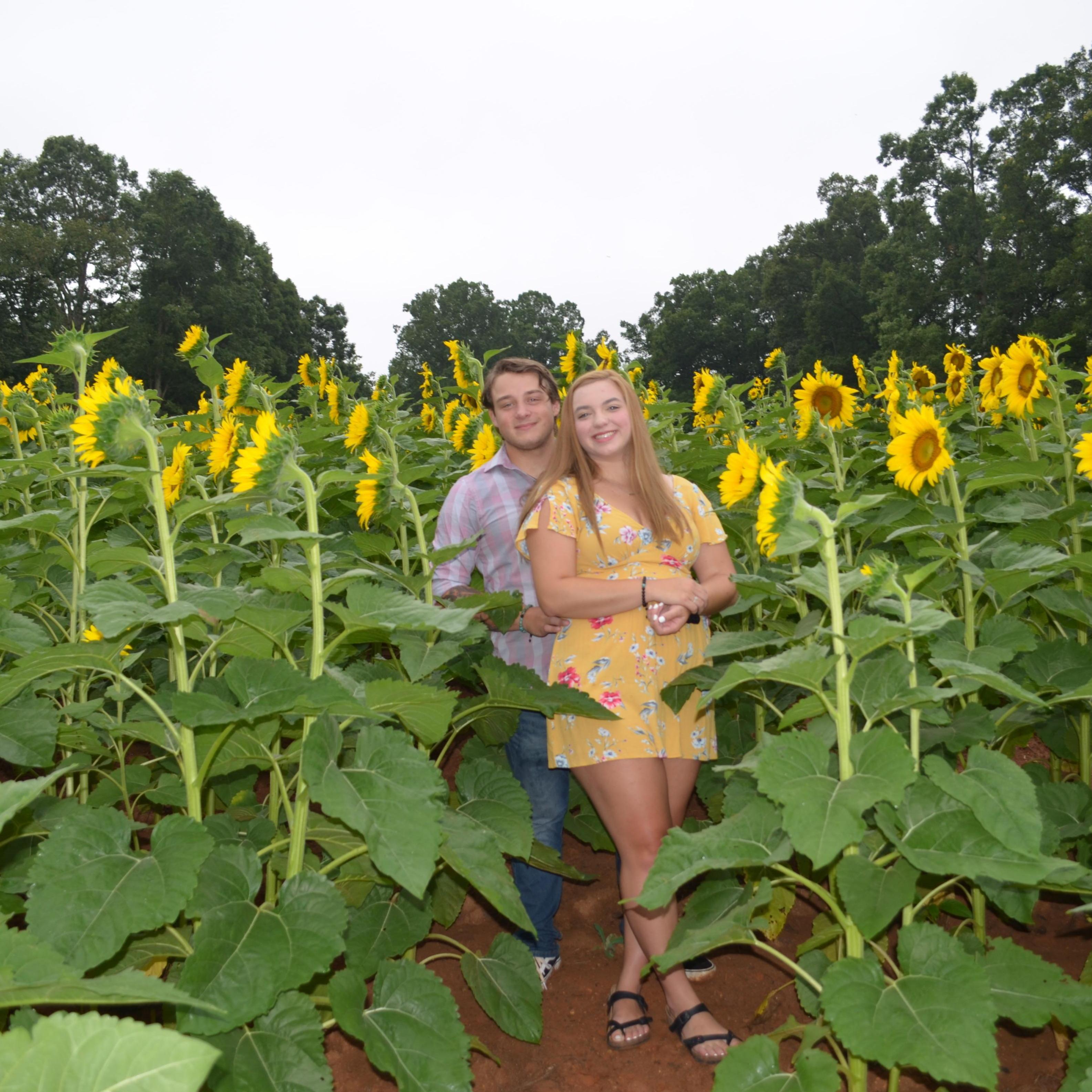 Can anybody tell that sunflowers are Isabella’s favorite?!