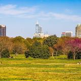 Dorothea Dix Park