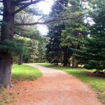 Arnold Arboretum of Harvard University
